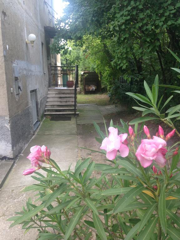 Hotel Rose Valley Budapeszt Zewnętrze zdjęcie